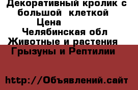 Декоративный кролик с большой  клеткой › Цена ­ 1 700 - Челябинская обл. Животные и растения » Грызуны и Рептилии   